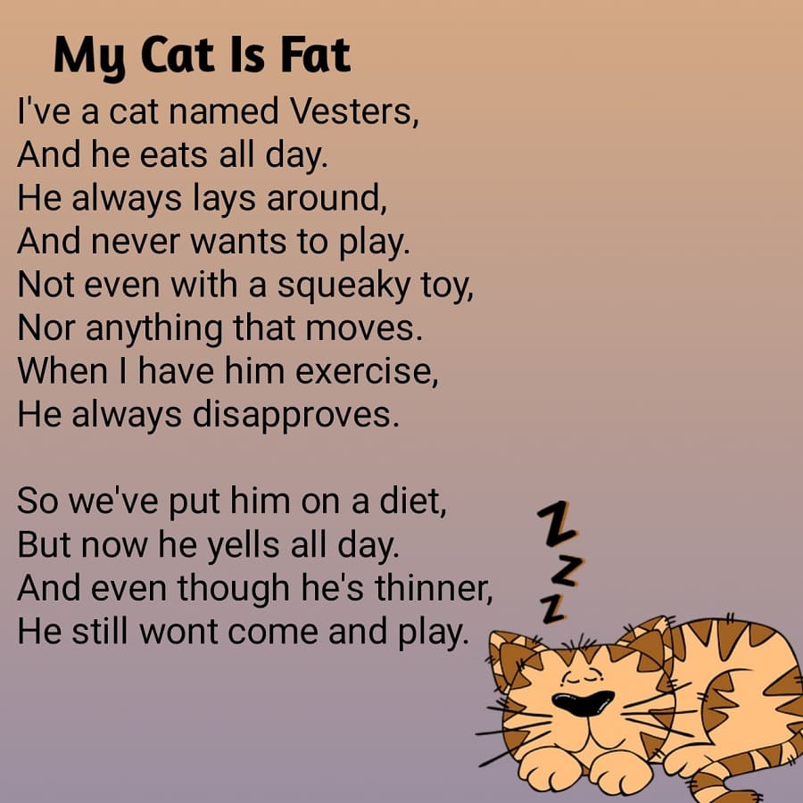 Học tiếng Anh qua bài thơ